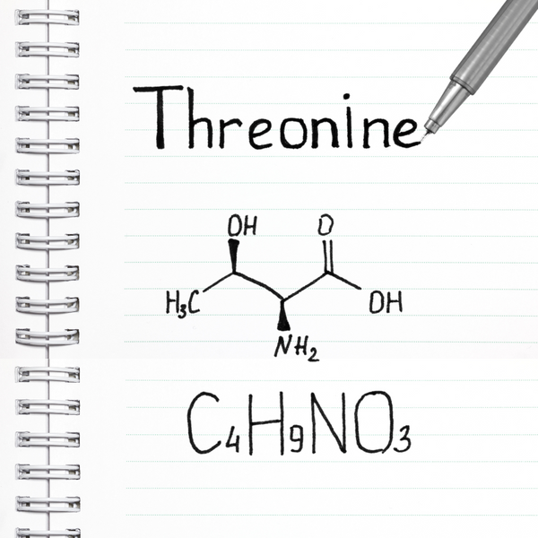 Threonine Benefits