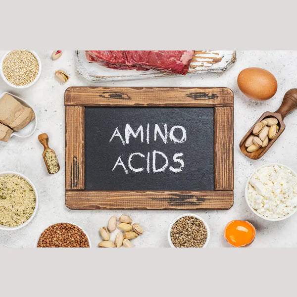 A Quick Guide to Amino Acids