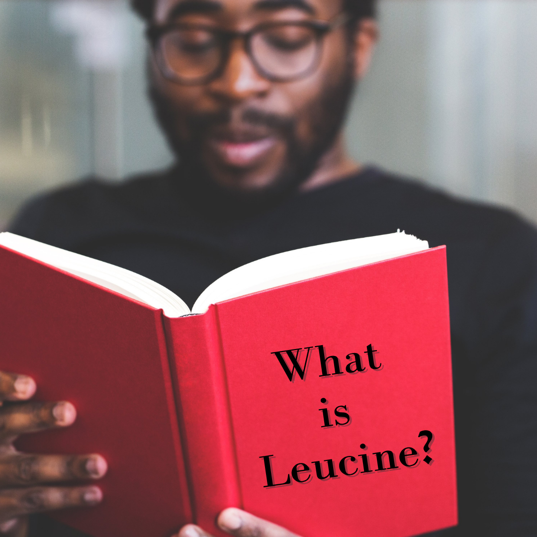 what is leucine