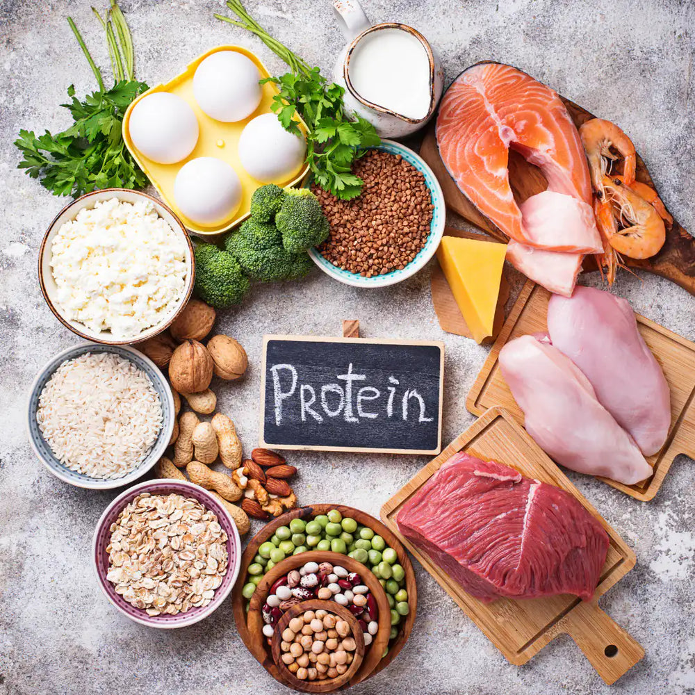 Rich Protein Foods