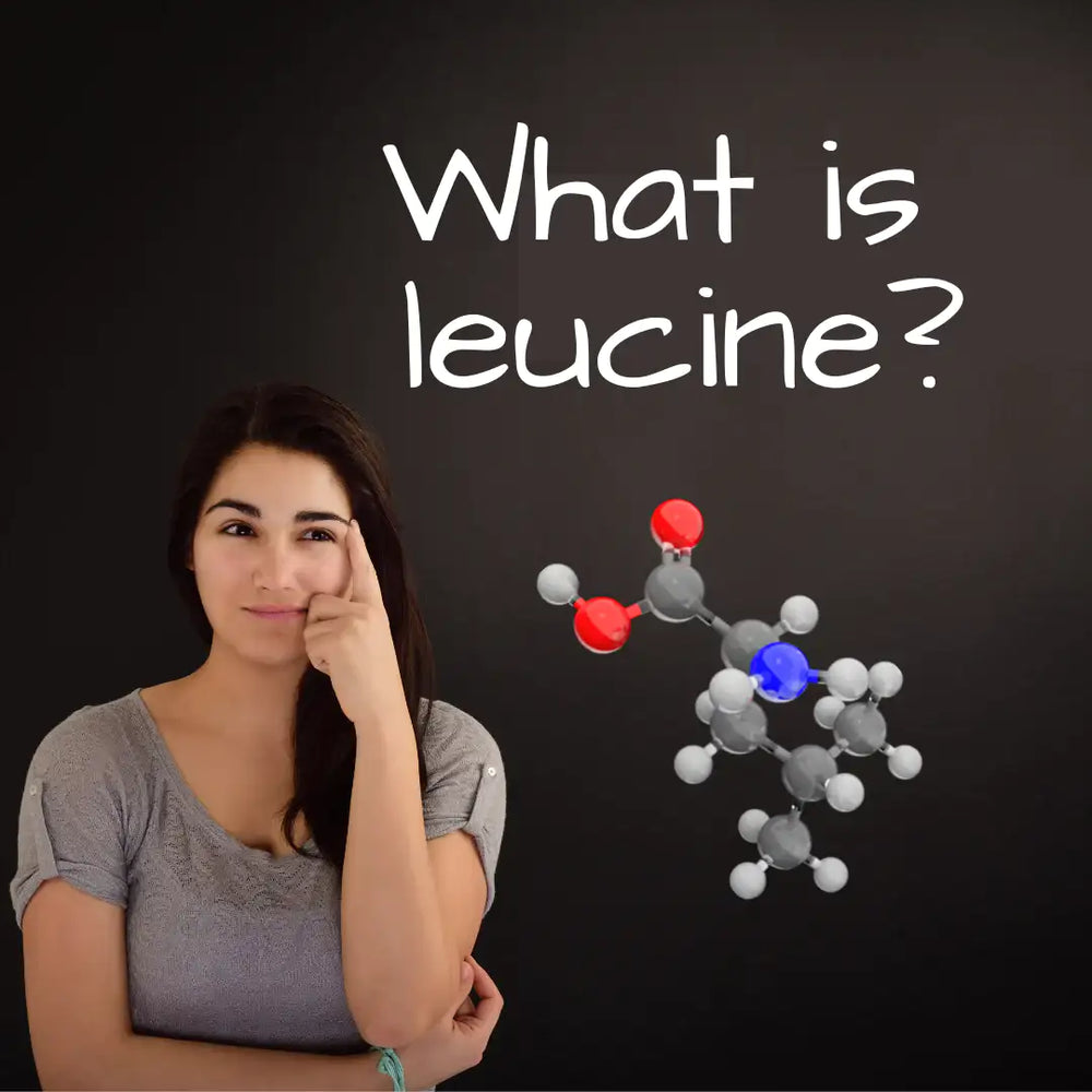 what is leucine