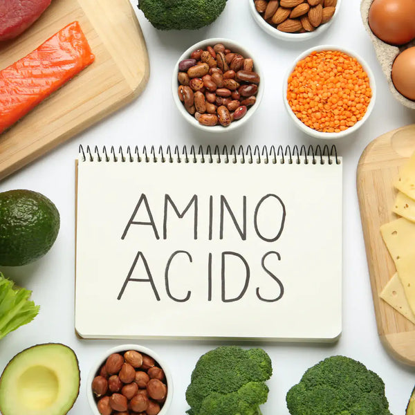 A Quick Guide to Amino Acids